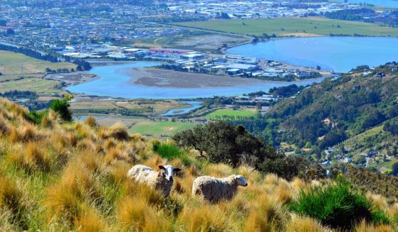 https://www.gowalkabouttravel.com/wp-content/uploads/2015/02/Christchurch-Overlooking-Non-editorial-559x327.jpg