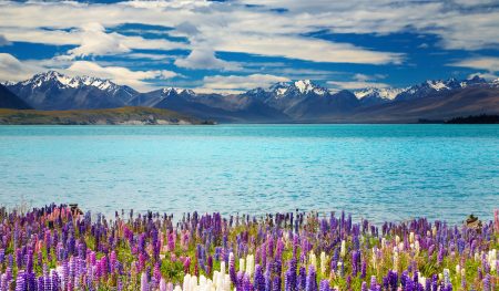 https://www.gowalkabouttravel.com/wp-content/uploads/2021/12/Lake-tekapo-New-Zealand-450x263.jpg