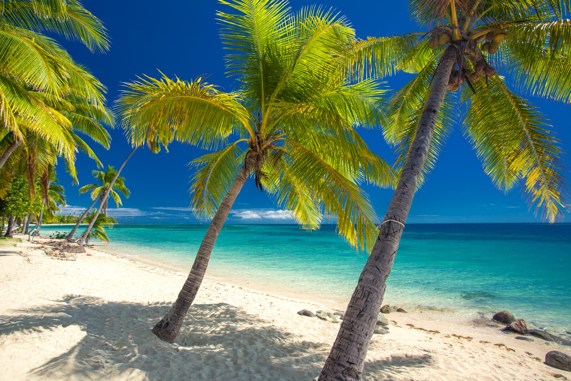 Fiji Honeymoon Go Walkabout Travel