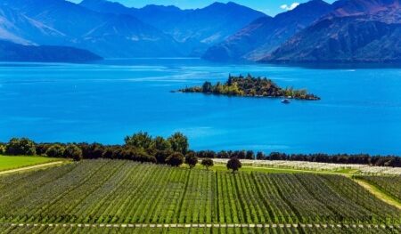 https://www.gowalkabouttravel.com/wp-content/uploads/2022/01/Lake-Wanaka-Views-New-Zealand-450x300-1-450x263.jpg