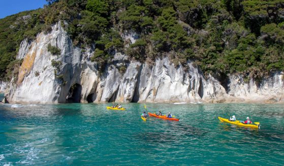 https://www.gowalkabouttravel.com/wp-content/uploads/2022/01/New-Zealand-Family-Tour-1-559x327.jpg