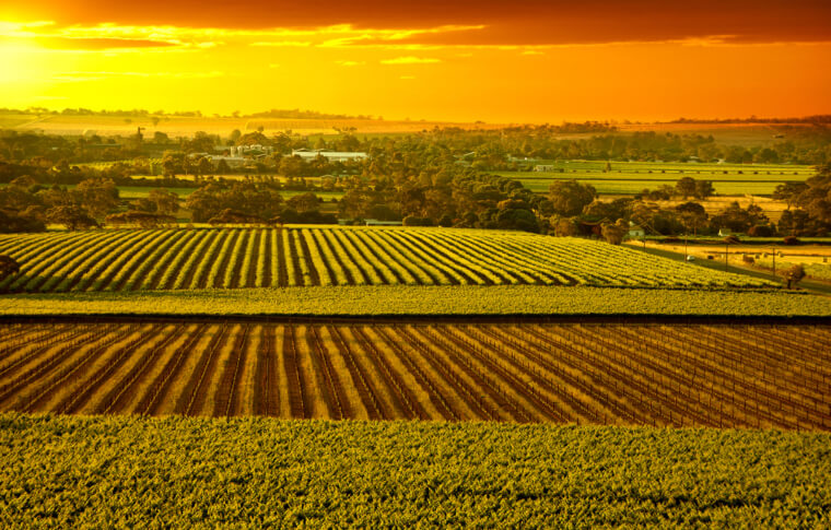 https://www.gowalkabouttravel.com/wp-content/uploads/2022/01/The-Barossa-Valley-Wine-Region-Australia.jpg