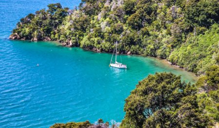 https://www.gowalkabouttravel.com/wp-content/uploads/2022/02/The-Marlborough-Sounds-New-Zealand-450x263.jpg